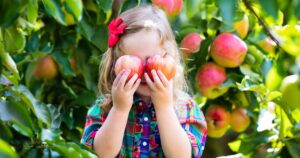 young girl standing in front of apple tree holding two apples in front of her eyes